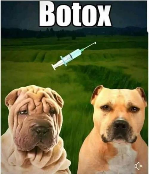 Botox
