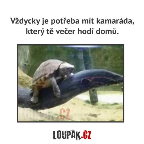  Každý ho potřebuje 