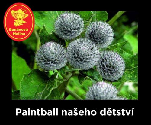  Paintball 