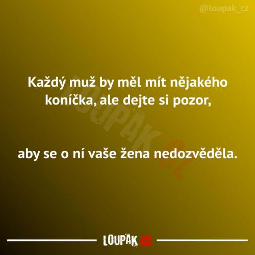  Každý muž by měl mít koníčka 