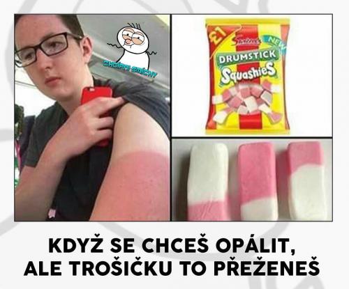 Opálit se
