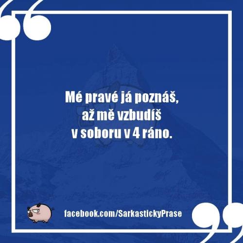 Poznám