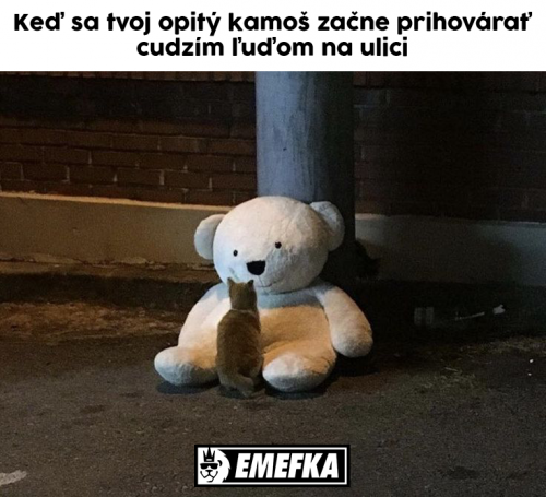  Kámoš 