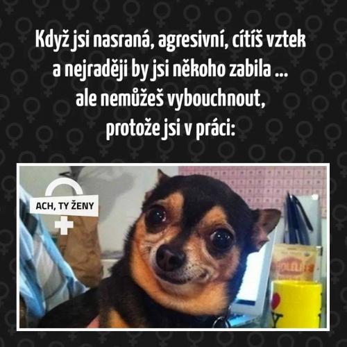  Naštvaná 