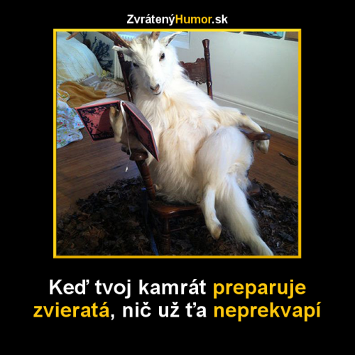 Nepřekvapí