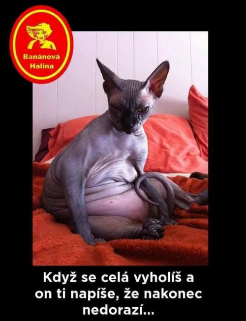 Vyholíš se