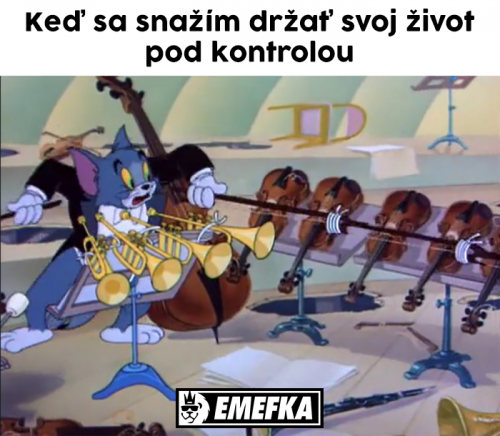  Kontrola 