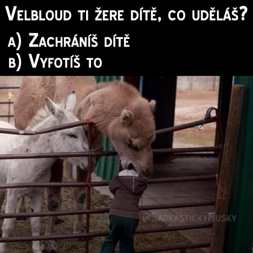 B, rozhodně za B!