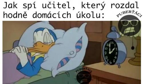 Domácák