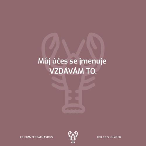 Vzdávám to