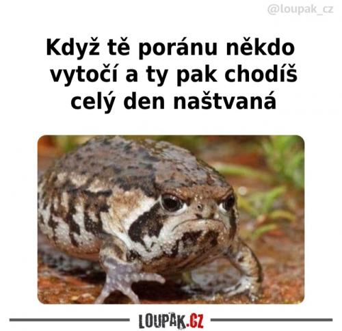 To by se nemělo stávat často