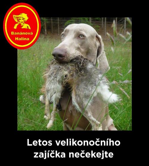 Zahjíčejk