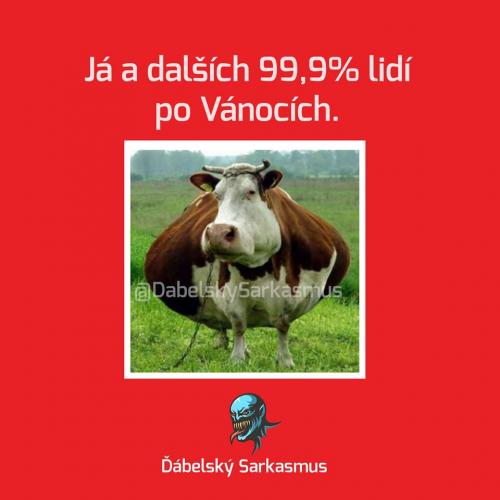  Vánoce 