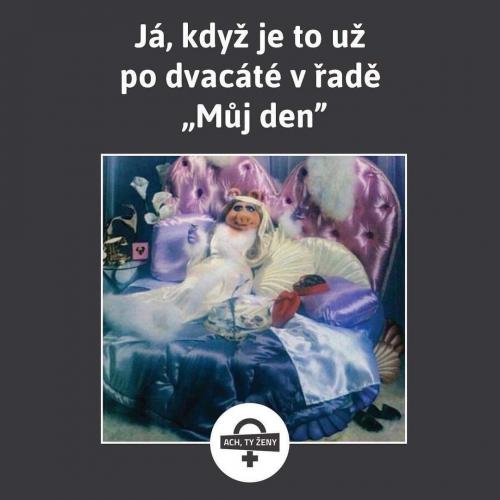  Můj den 