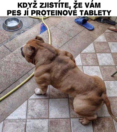 Raději je schovávejte, jo