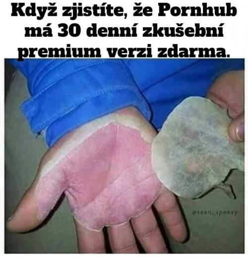 Auvajs