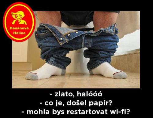 Halooo
