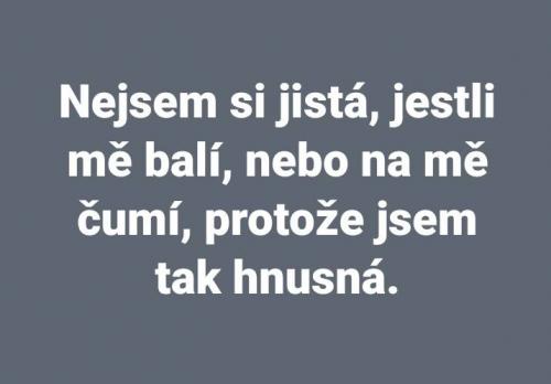 Nejsem si jistá