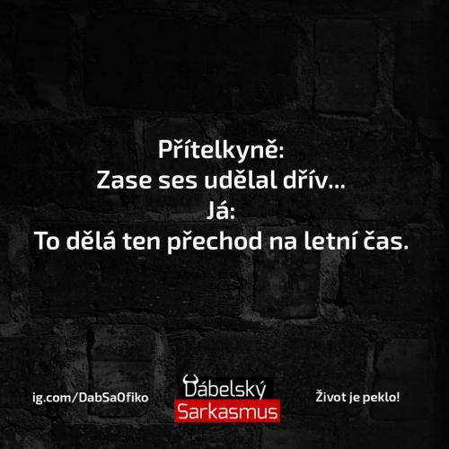  Přítelkyně 