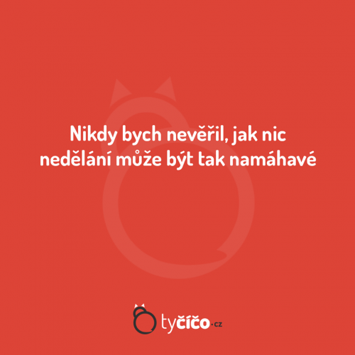  nikdy bych 