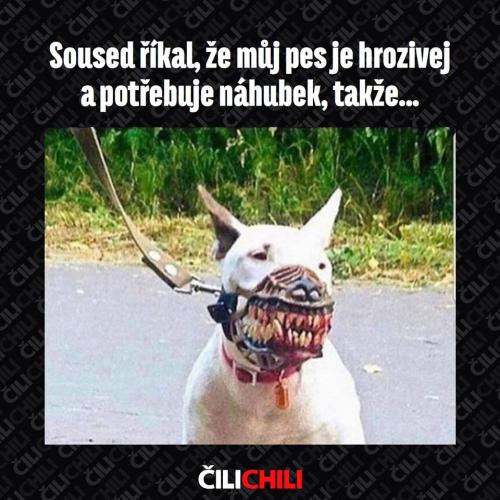  Soused říkal 