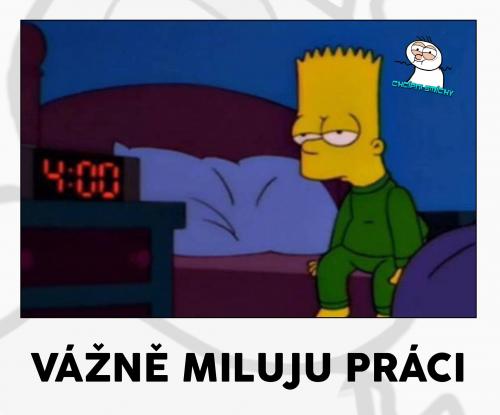  Miluju práci 