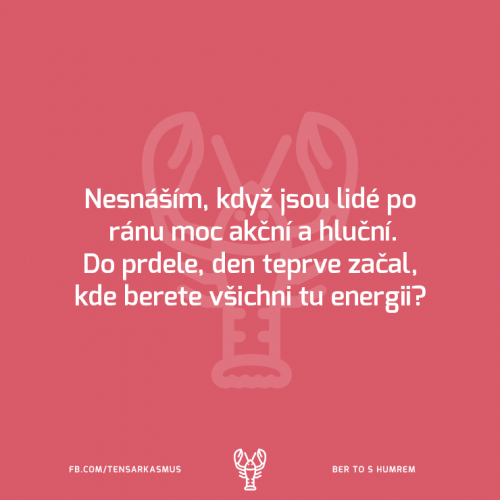 Nesnáším