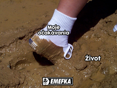  Očekávání 