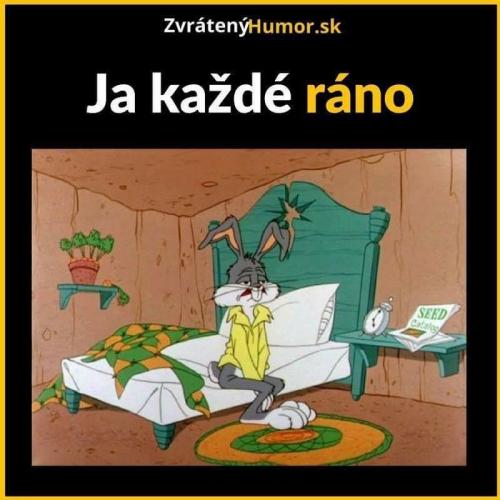  Každé ráno 