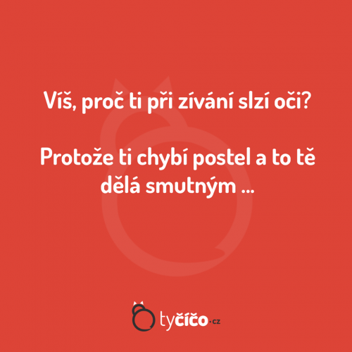  Víš proč 