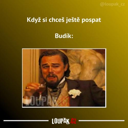 Asi tomu nerozumí
