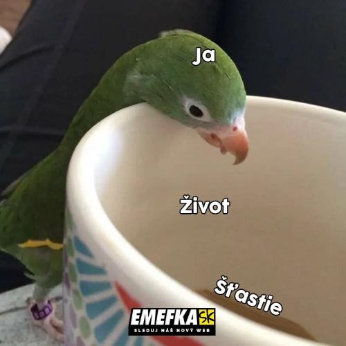  Je to asi prostě daleko 