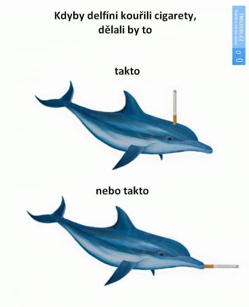  Delfíni 