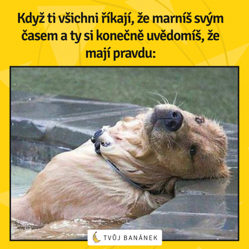  Mají pravdu 