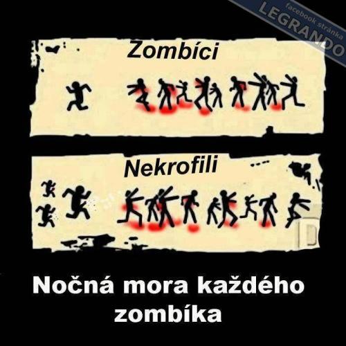  Zombie 