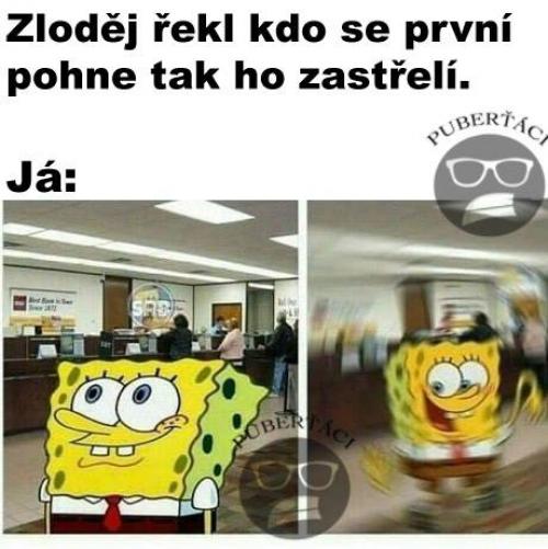 Zastřelí se