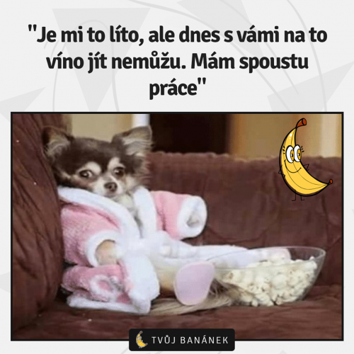  Spousta práce 