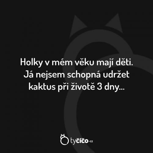  Holky 