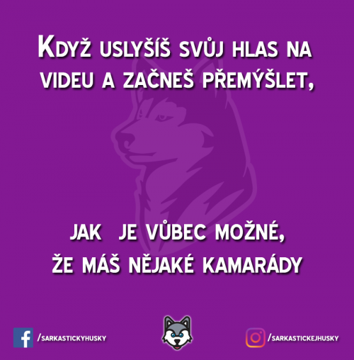  Je to vlastně takový malý zázrak 