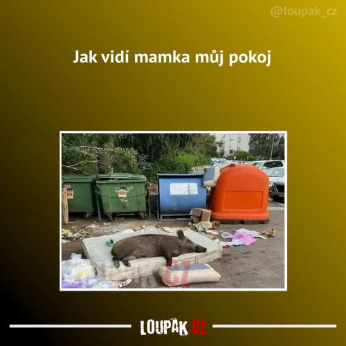 Někdy to asi přehání