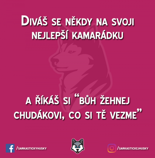Označ tu šílenou krávu do komentářů