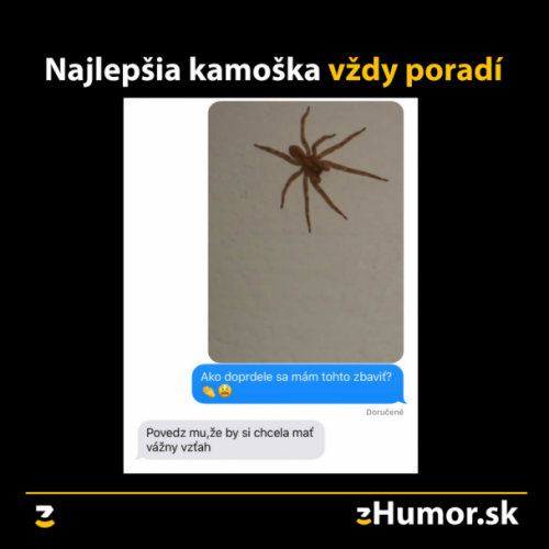  Kámoška 