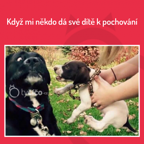  Dítě 