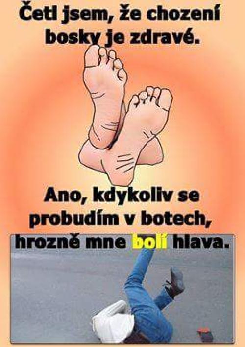 četl jse m