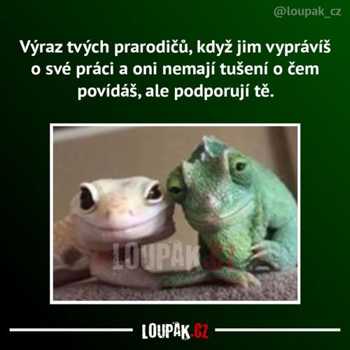  Práce 