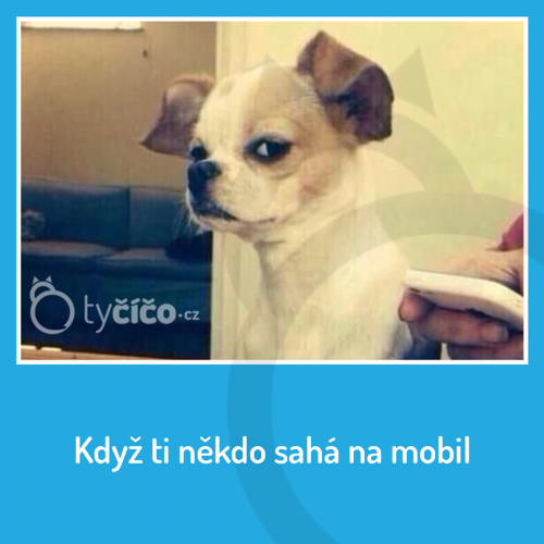 Co to děláš