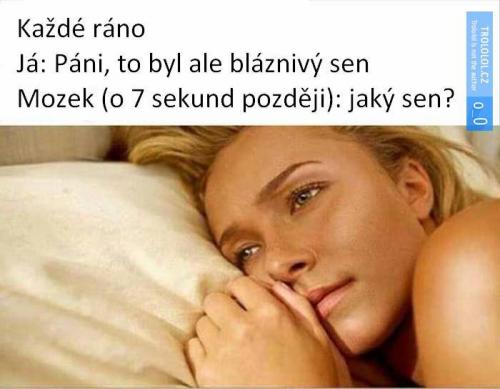  Každé ráno 