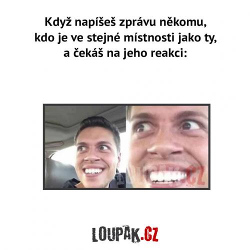  Zpráva 