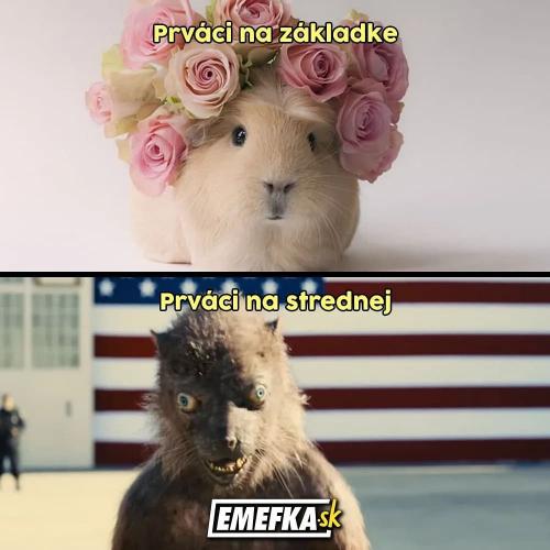  Už je to docela rozdíl 