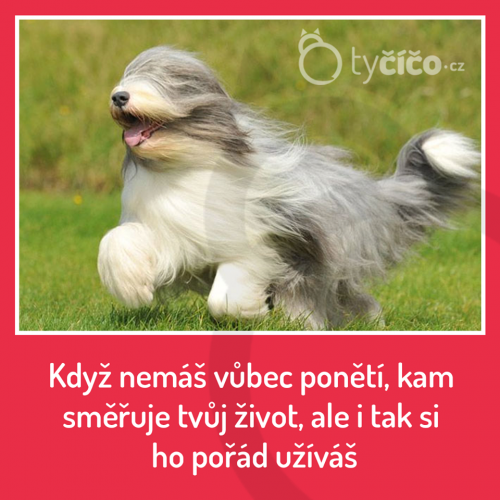  Nemá ponětí 